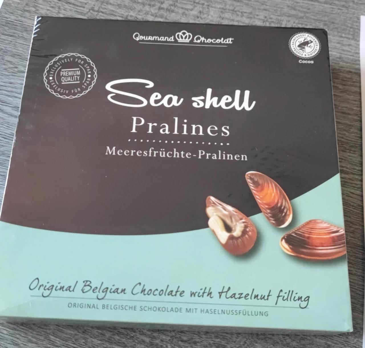 Képek - Sea shell pralines Gourmand chocolat