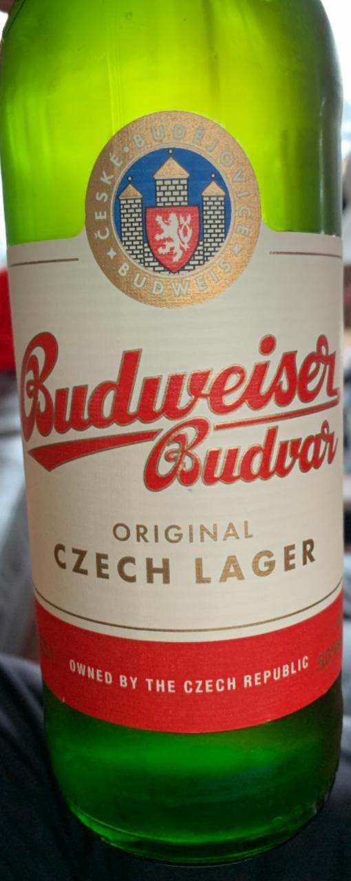 Képek - Original czech lager Budweiser Budvar