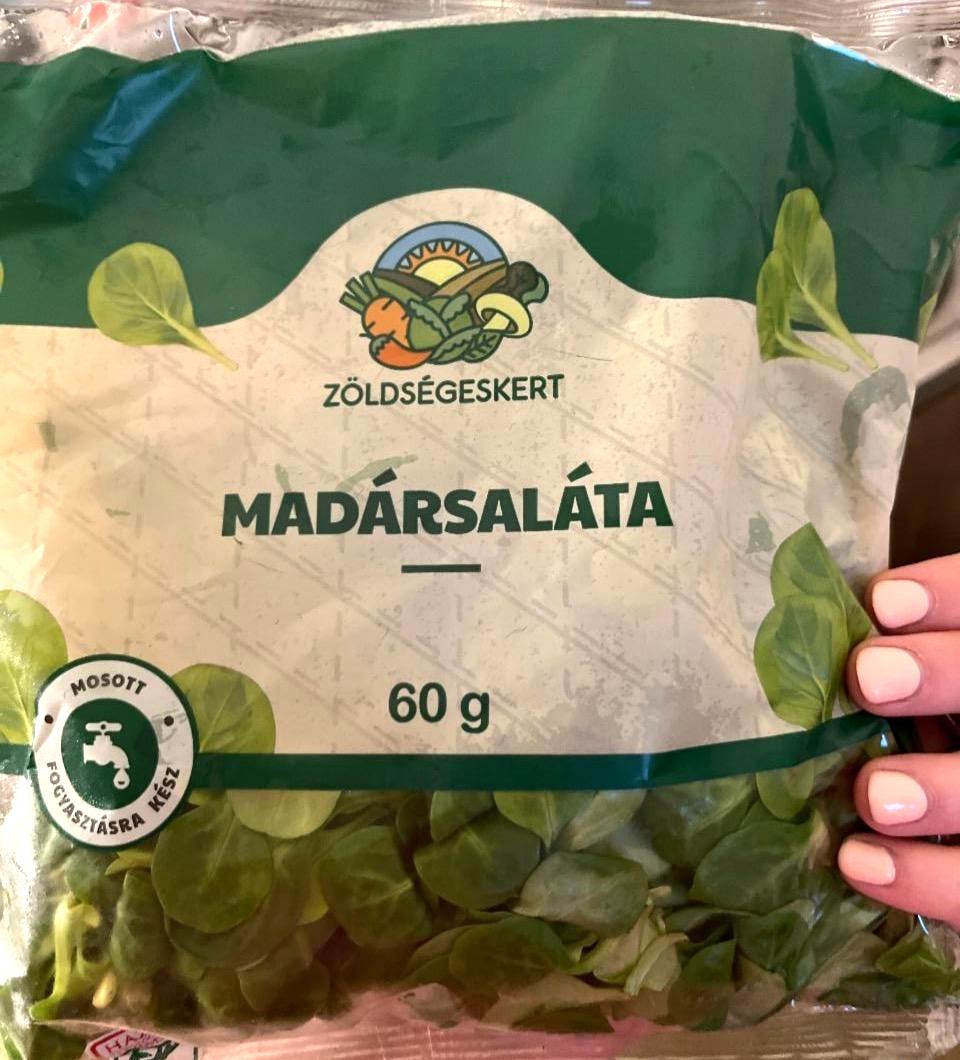 Képek - Madársaláta Zöldségeskert