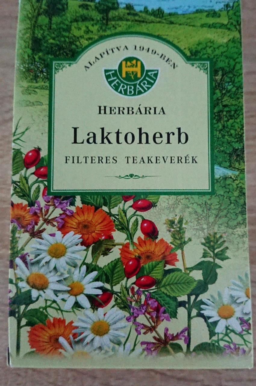 Képek - Laktoherb filteres teakeverék Herbária