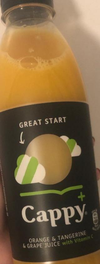 Képek - Cappy Plus Great Start vegyesgyümölcslé 800 ml