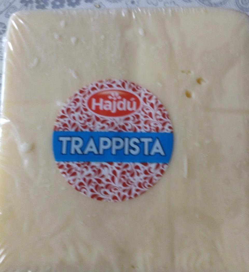 Képek - Trappista zsíros félkemény sajt Hajdú