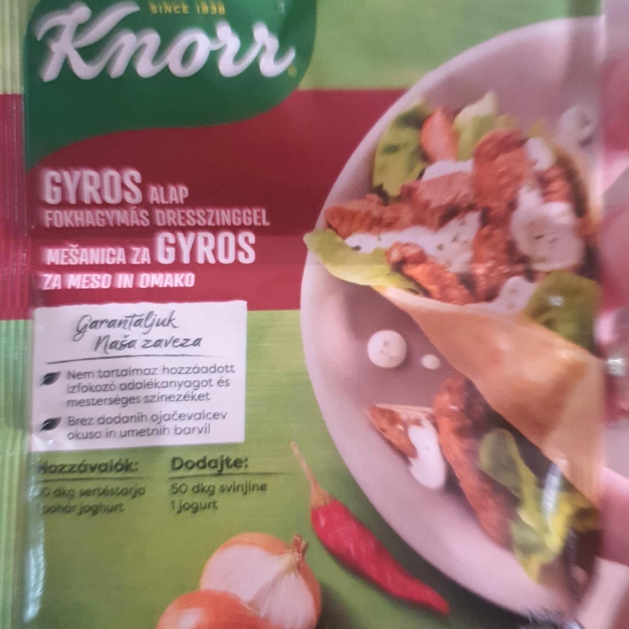 Képek - Knorr gyros alap fokhagymás dresszinggel (30 g + 10 g) 40 g