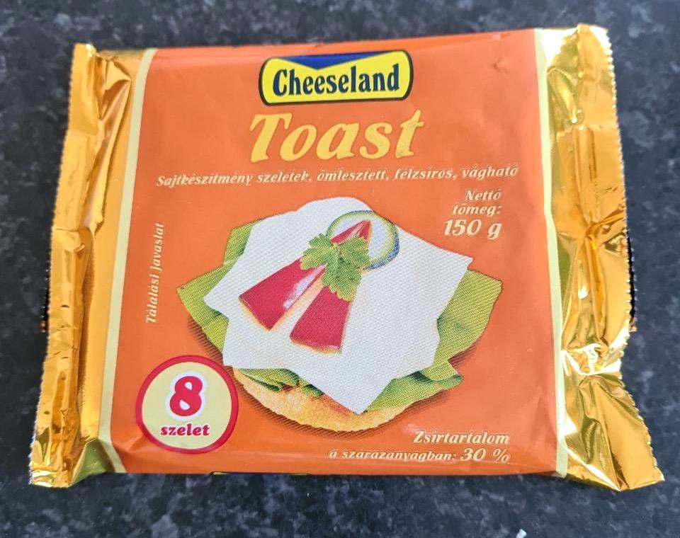 Képek - Lapka sajt toast Cheesenland