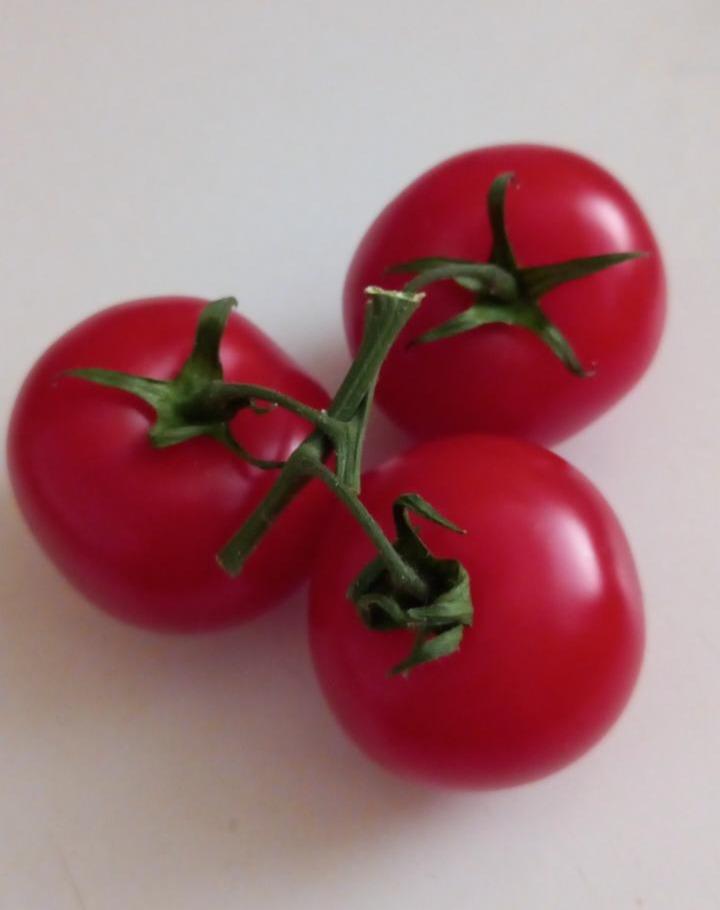 Képek - paradicsom Veselá paradajka